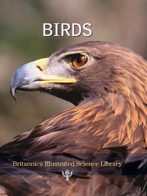 cover image of Birds